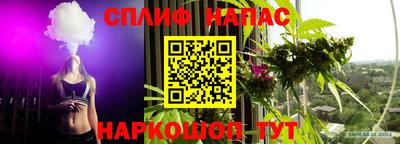 прущие грибы Заводоуковск