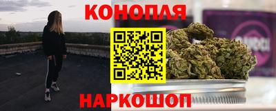 гашик Жуковский