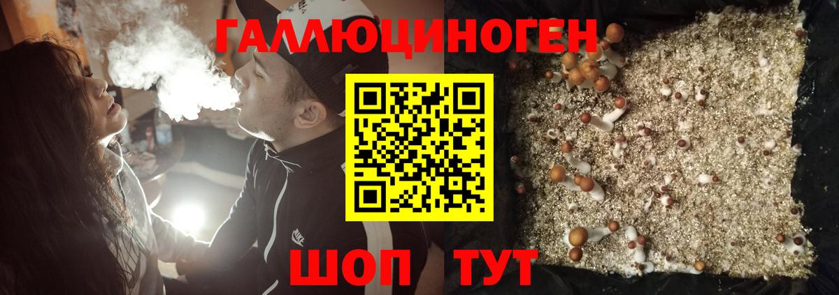 Галлюциногенные грибы мицелий Калач-на-Дону