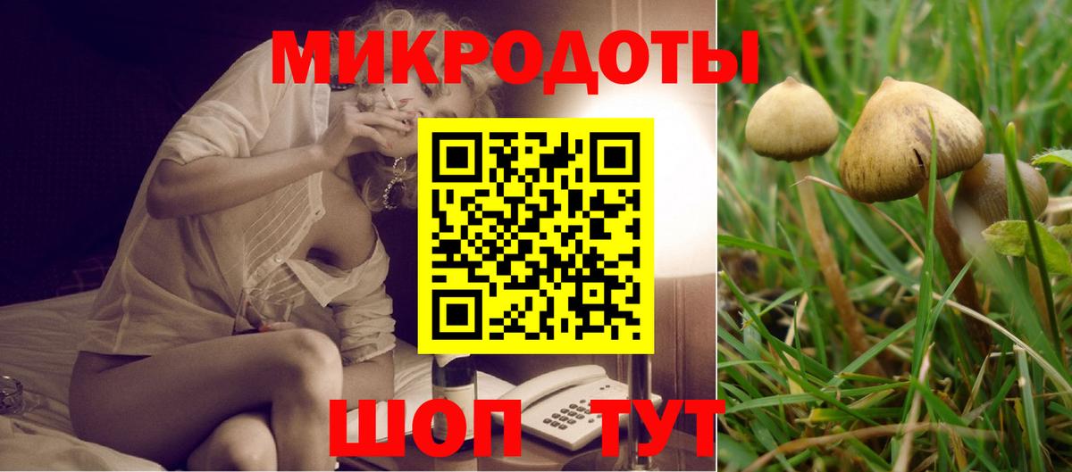 Псилоцибиновые грибы GOLDEN TEACHER  Галлюциногенные грибы Psilocybe  Вход с VPN  как найти наркотики  Калач-на-Дону 